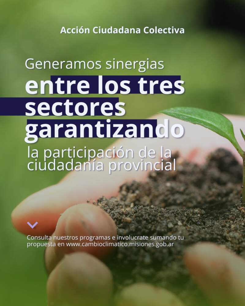 Misiones se moviliza por el clima con una jornada provincial de reciclaje electrónico 7 Misiones se moviliza por el clima con una jornada provincial de reciclaje electrónico imagen-6