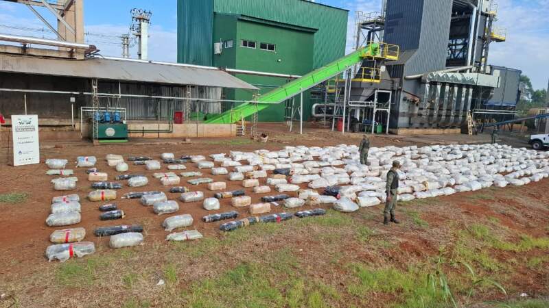 Gendarmería destruyó más de nueve toneladas de marihuana incautadas en un operativo realizado sobre la Ruta Nacional 12 en Eldorado imagen-7