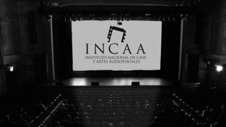 El Incaa duplicó el costo de referencia de las películas y reordenó el esquema de subsidios El Incaa duplicó el costo de referencia de las películas y reordenó el esquema de subsidios imagen-5