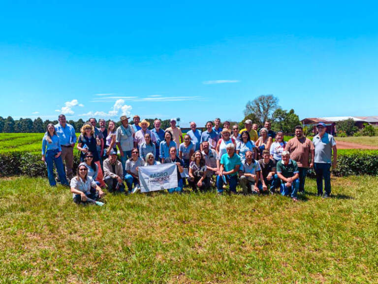 Más de 40 productores participaron de las Jornadas Tecnológicas del Té en Campo Viera imagen-4