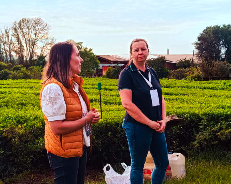 Más de 40 productores participaron de las Jornadas Tecnológicas del Té en Campo Viera imagen-6