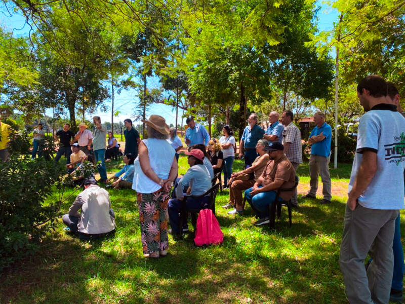 Más de 40 productores participaron de las Jornadas Tecnológicas del Té en Campo Viera imagen-2