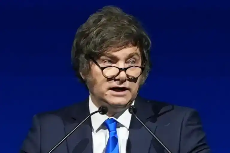 Milei avanza con la “Ley Hojarasca”: busca eliminar 70 leyes y desata polémica imagen-37