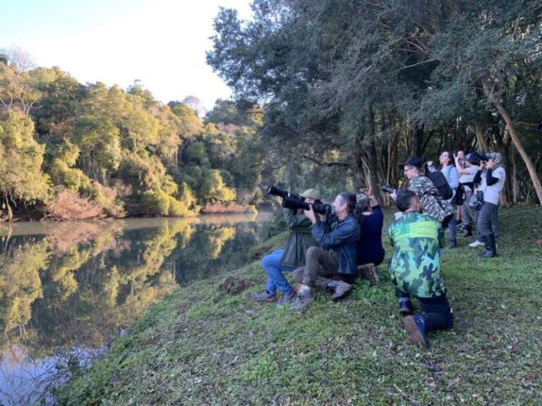 Invitan a una jornada de observación de aves y cuidado del río en El Soberbio imagen-30