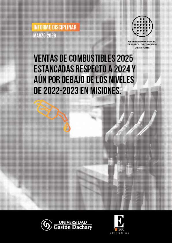 El mercado de combustibles en Misiones muestra estancamiento y leve caída en 2025 imagen-2