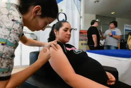 Vacunación antigripal en Misiones: a quiénes está dirigida y por qué recomiendan aplicarla antes del invierno imagen-5