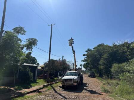 Candelaria: Energía de Misiones cambió 55 postes y 490 luminarias con mejoras en la infraestructura eléctrica imagen-15