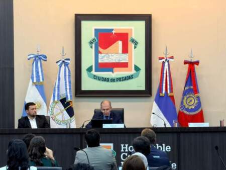 El intendente Stelatto inauguró la apertura de sesiones del Concejo Deliberante con un balance de gestión y foco en la administración de recursos municipales imagen-13