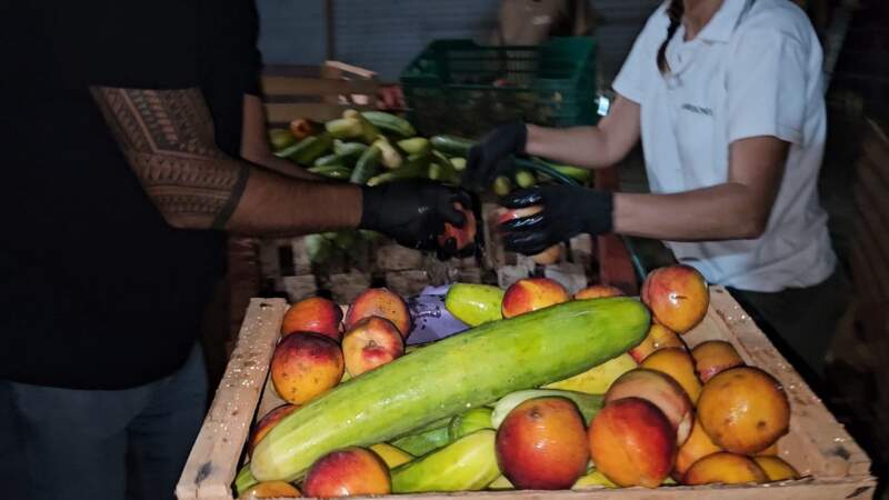 El Mercado Central de Misiones supera los 100.000 kg de alimentos recuperados y planea replicar su exitoso modelo social imagen-2