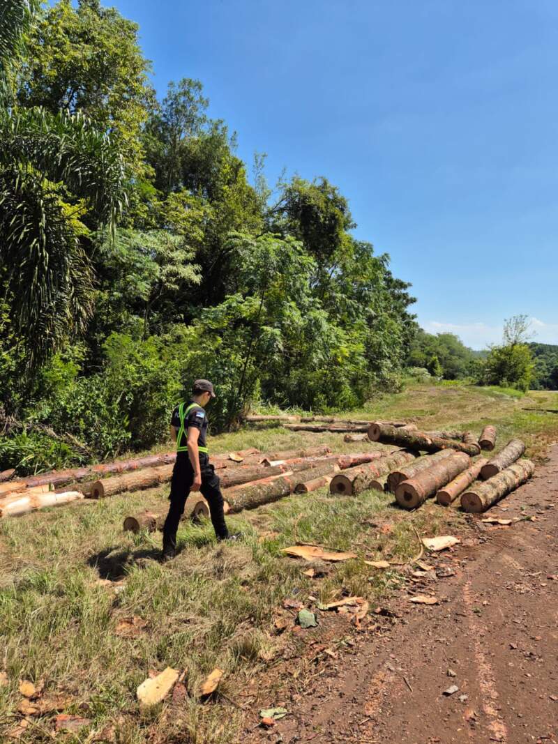 Caraguatay: un camión perdió el acoplado y la carga terminó en la banquina de la Ruta Nacional 12 5 Caraguatay: un camión perdió el acoplado y la carga terminó en la banquina de la Ruta Nacional 12 imagen-4