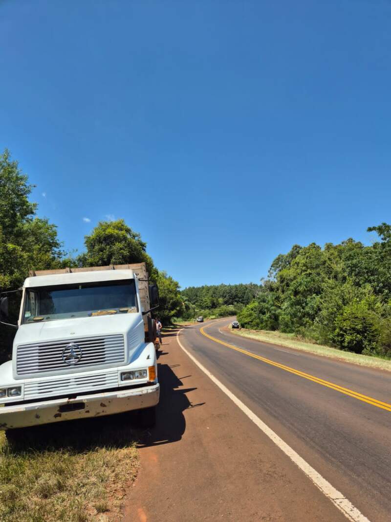 Caraguatay: un camión perdió el acoplado y la carga terminó en la banquina de la Ruta Nacional 12 3 Caraguatay: un camión perdió el acoplado y la carga terminó en la banquina de la Ruta Nacional 12 imagen-2