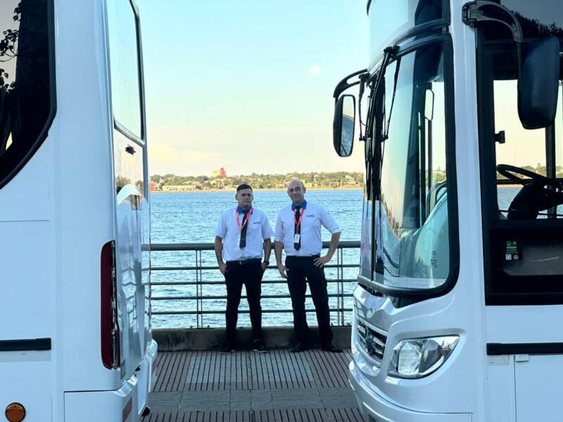 El transporte metropolitano incorpora 16 nuevas unidades para reforzar el servicio en el inicio del ciclo escolar imagen-2