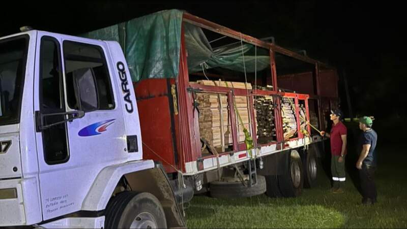 Operativo forestal: secuestraron material nativo sin documentación en Posadas imagen-3