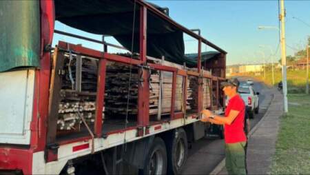 Operativo forestal: secuestraron material nativo sin documentación en Posadas imagen-15