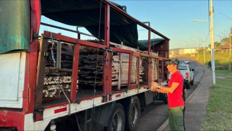 Operativo forestal: secuestraron material nativo sin documentación en Posadas imagen-8