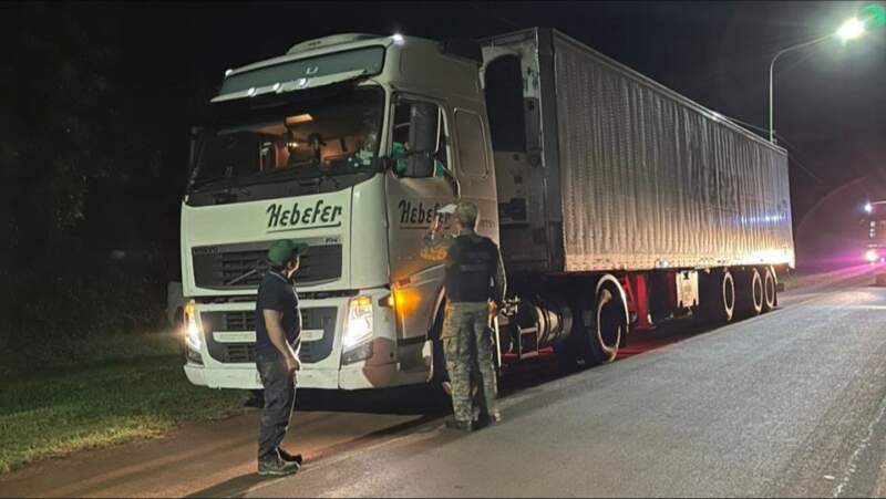 Operativo forestal: secuestraron material nativo sin documentación en Posadas imagen-9