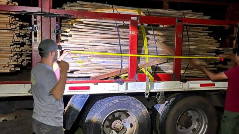 Operativo forestal: secuestraron material nativo sin documentación en Posadas imagen-7