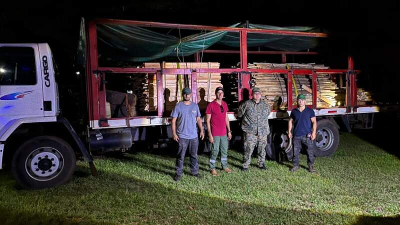 Operativo forestal: secuestraron material nativo sin documentación en Posadas imagen-5
