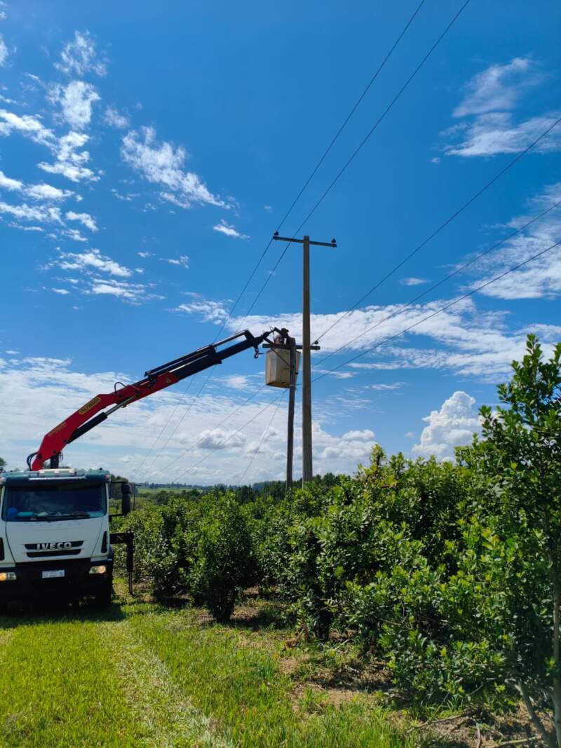 Refuerzan mantenimiento en líneas rurales de El Soberbio imagen-2