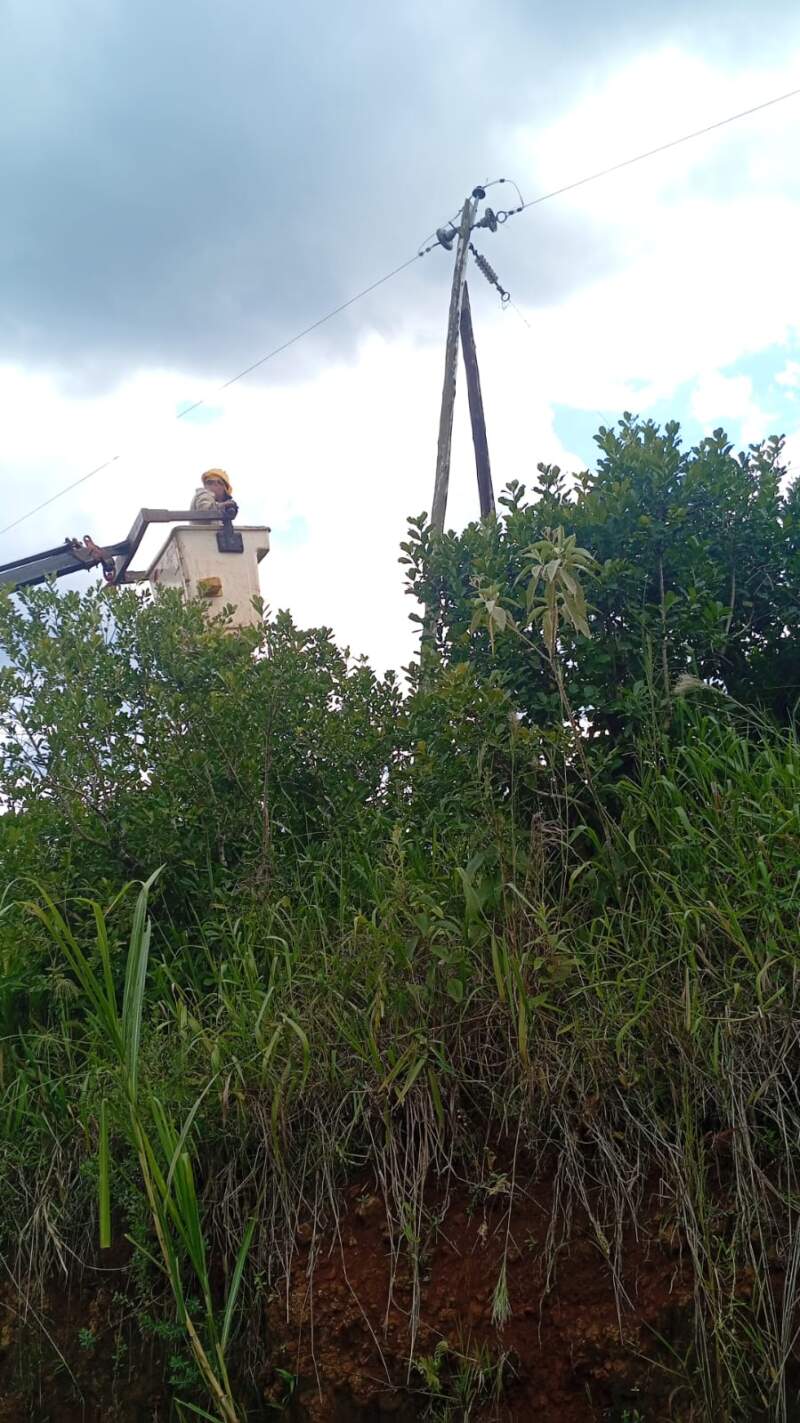Refuerzan mantenimiento en líneas rurales de El Soberbio imagen-6