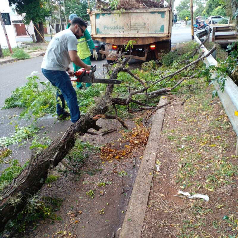 Tras los fuertes vientos que provocaron caída de ramas y árboles, en alerta ante imprevistos meteorológicos 3 Tras los fuertes vientos que provocaron caída de ramas y árboles, en alerta ante imprevistos meteorológicos imagen-2
