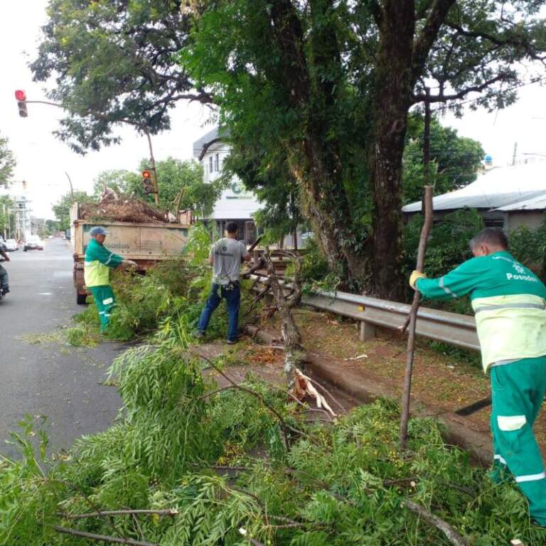 Tras los fuertes vientos que provocaron caída de ramas y árboles, en alerta ante imprevistos meteorológicos imagen-14