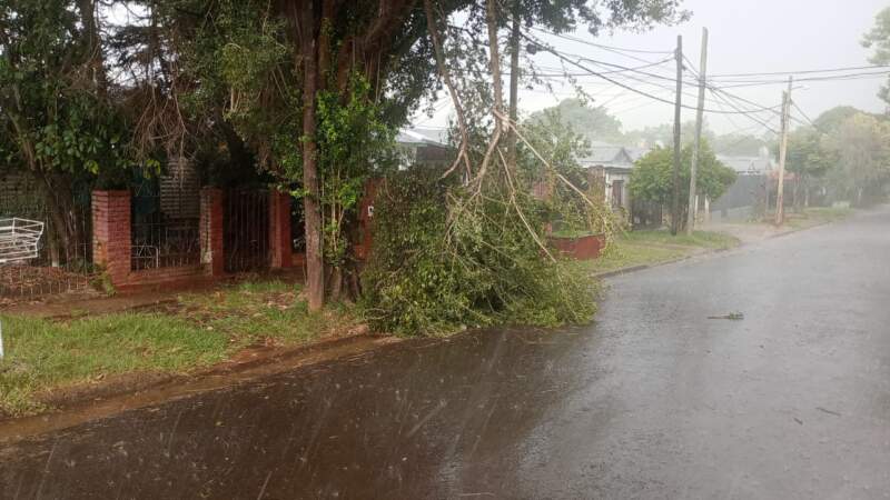Tras los fuertes vientos que provocaron caída de ramas y árboles, en alerta ante imprevistos meteorológicos 7 Tras los fuertes vientos que provocaron caída de ramas y árboles, en alerta ante imprevistos meteorológicos imagen-6