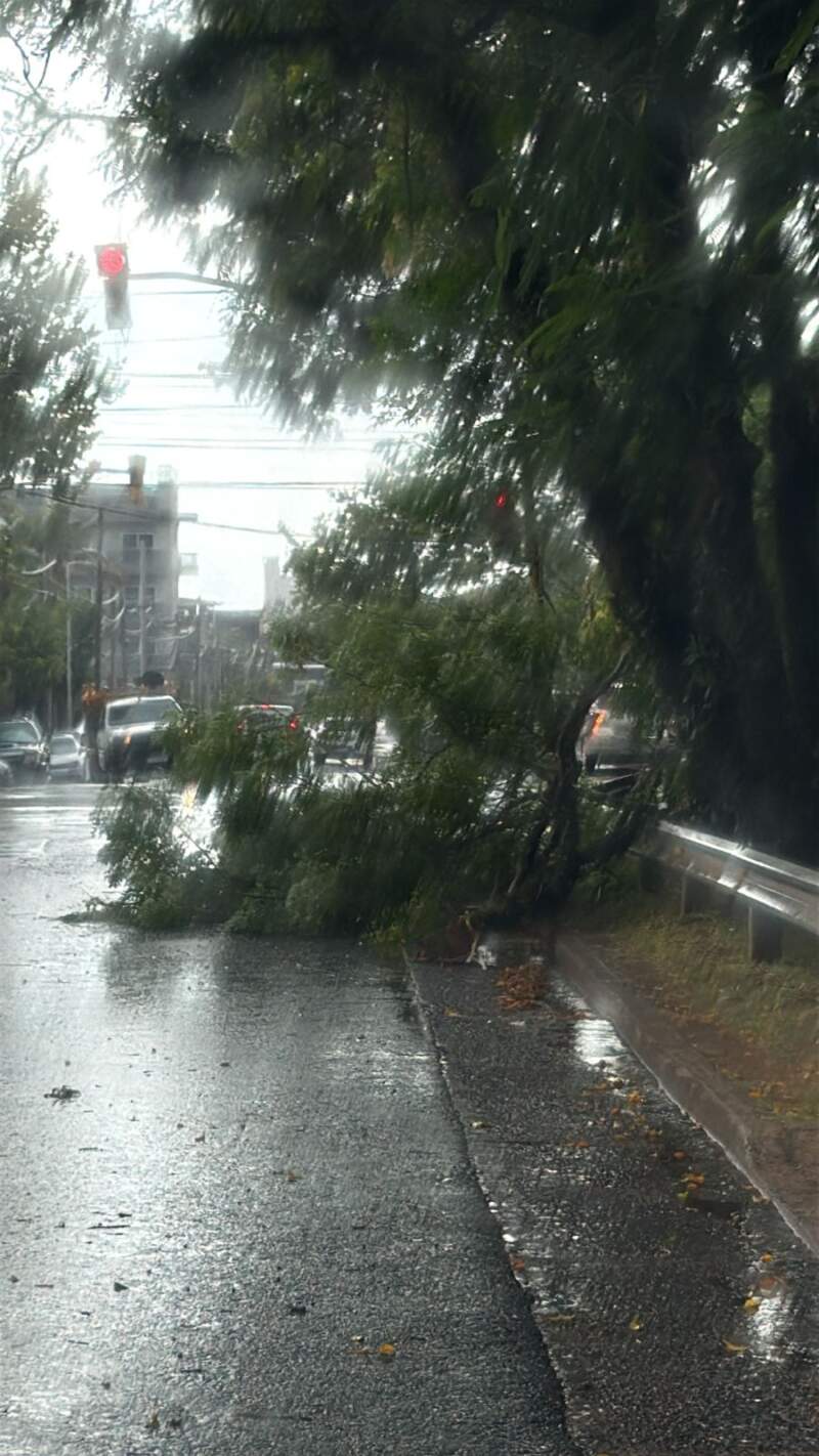 Tras los fuertes vientos que provocaron caída de ramas y árboles, en alerta ante imprevistos meteorológicos 11 Tras los fuertes vientos que provocaron caída de ramas y árboles, en alerta ante imprevistos meteorológicos imagen-10