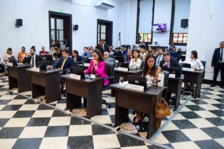 El Concejo Deliberante comenzó un nuevo año legislativo con eje en diversas políticas públicas imagen-4