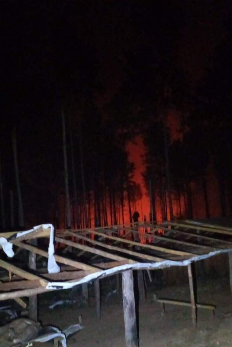 Controlaron un incendio de pinar en Caraguatay imagen-9
