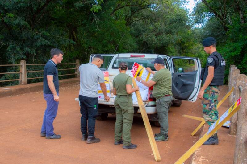 Tras la aparición de restos de un yacaré en 25 de Mayo, refuerzan acciones de protección de la fauna de la zona imagen-6