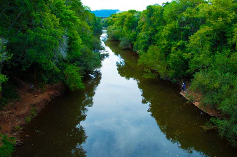 Tras la aparición de restos de un yacaré en 25 de Mayo, refuerzan acciones de protección de la fauna de la zona imagen-8