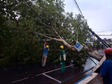 El municipio realiza trabajos ante los inconvenientes ocasionados por el mal clima imagen-4