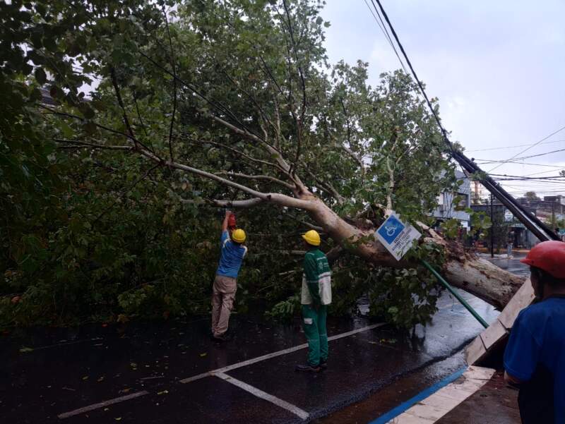 El municipio realiza trabajos ante los inconvenientes ocasionados por el mal clima imagen-9