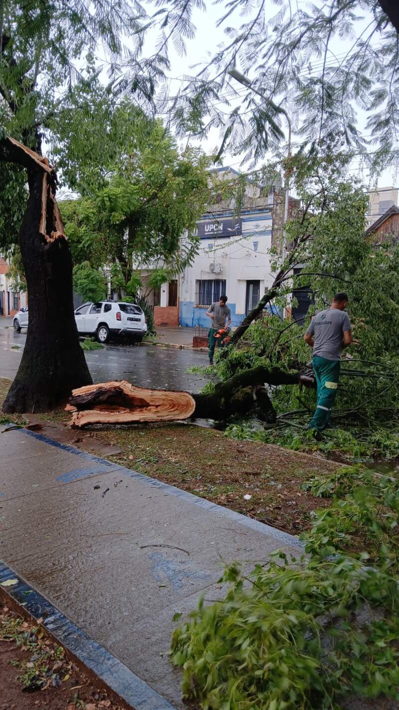 El municipio realiza trabajos ante los inconvenientes ocasionados por el mal clima imagen-5