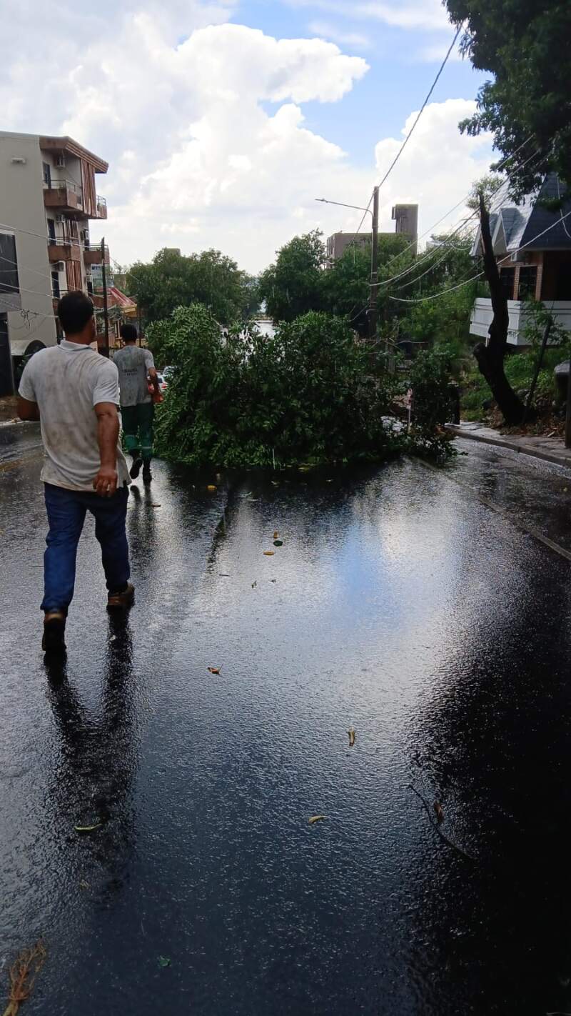 El municipio realiza trabajos ante los inconvenientes ocasionados por el mal clima imagen-7