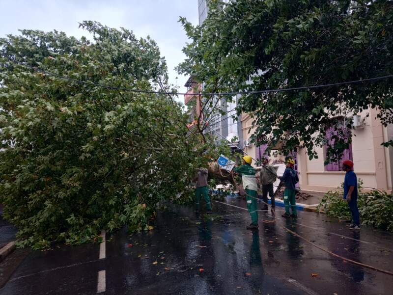El municipio realiza trabajos ante los inconvenientes ocasionados por el mal clima imagen-9