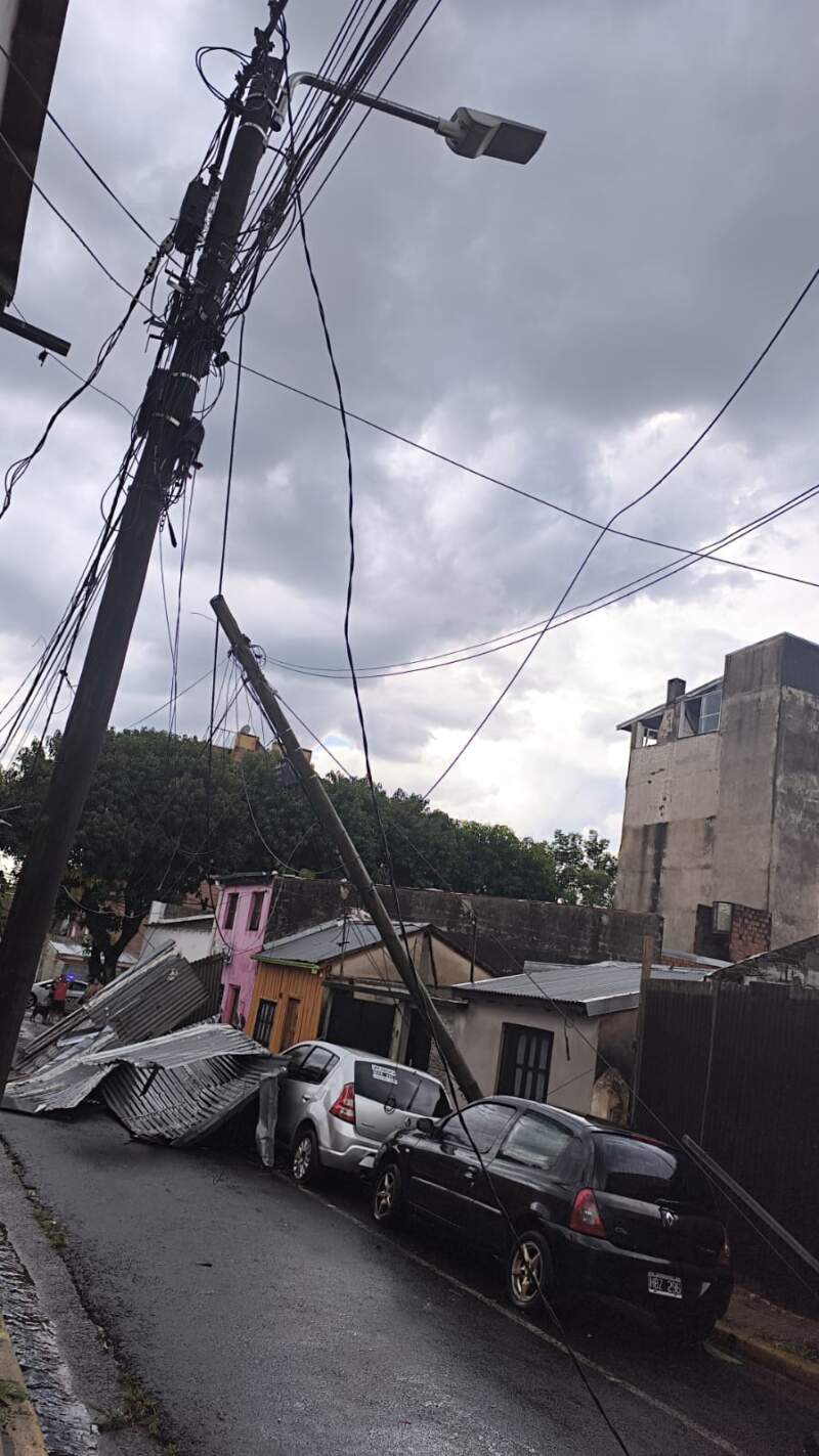 Ráfagas de viento provocaron caída de árboles, cables y daños materiales en Posadas imagen-5