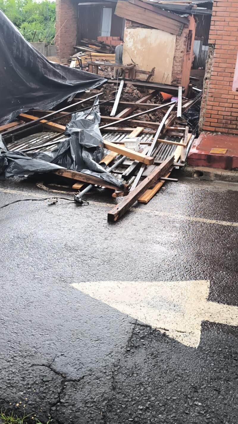 Ráfagas de viento provocaron caída de árboles, cables y daños materiales en Posadas imagen-3