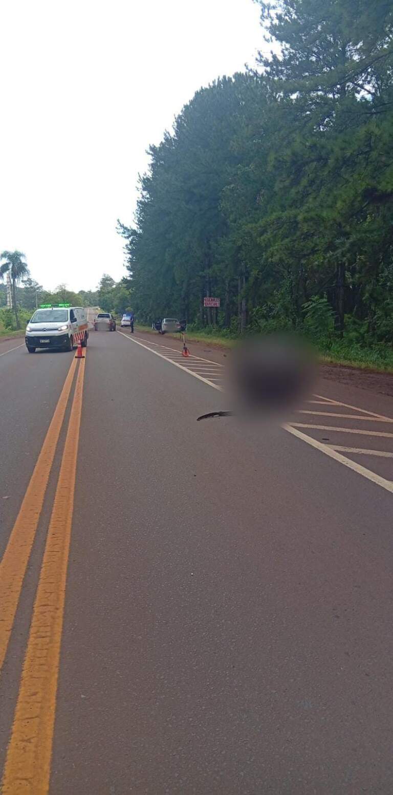 Un motociclista falleció tras un siniestro vial sobre la Ruta Nacional 12 en Montecarlo imagen-25