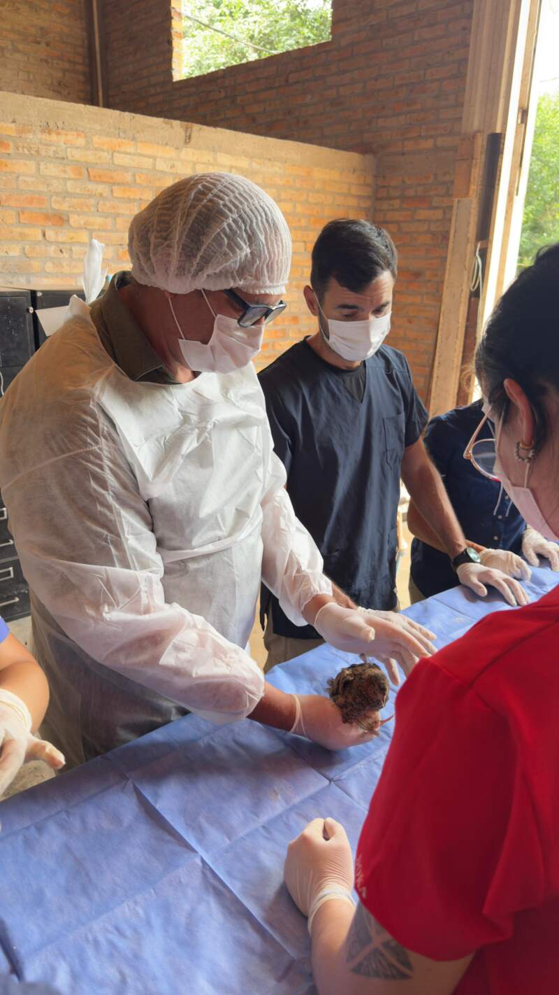 Una jornada de capacitación en la reserva OHANA para mejorar las oportunidades de la fauna silvestre imagen-6