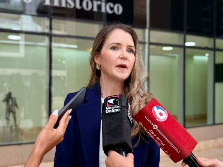 Parlamento de la Mujer: un espacio de participación y formación, resaltó la diputada Schierse imagen-11