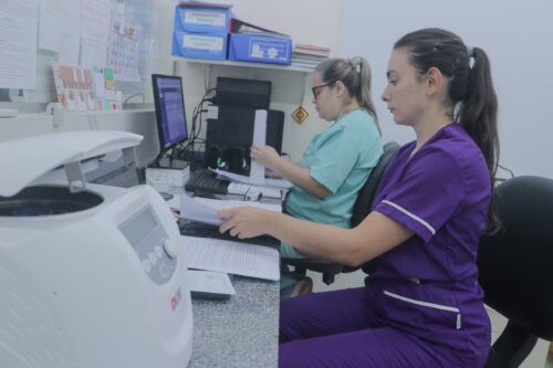 Ciencia que cura: innovación y conocimiento en el modelo del Parque de la Salud imagen-4