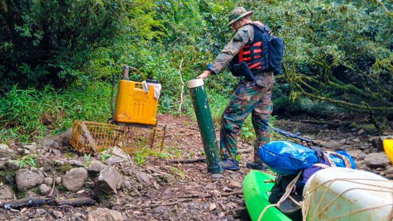 Amplio operativo de guardaparques en la Reserva de Biosfera Yabotí: destruyen campamentos ilegales y secuestran armas, redes y explosivos imagen-4