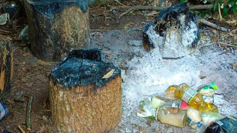 Amplio operativo de guardaparques en la Reserva de Biosfera Yabotí: destruyen campamentos ilegales y secuestran armas, redes y explosivos imagen-18