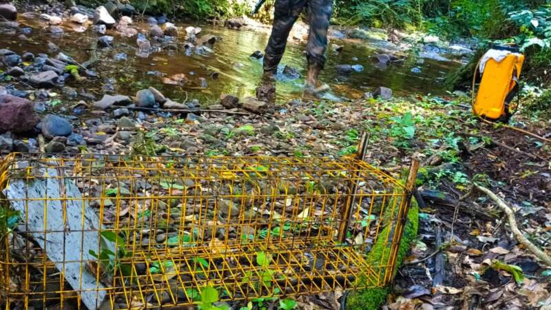 Amplio operativo de guardaparques en la Reserva de Biosfera Yabotí: destruyen campamentos ilegales y secuestran armas, redes y explosivos imagen-16