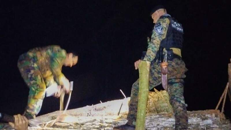 Incautan camión con madera nativa sin documentación en operativos de control forestal en Comandante Andresito imagen-2