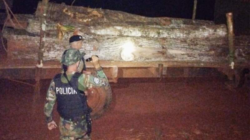 Incautan camión con madera nativa sin documentación en operativos de control forestal en Comandante Andresito imagen-4