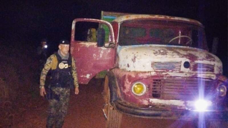 Incautan camión con madera nativa sin documentación en operativos de control forestal en Comandante Andresito imagen-6