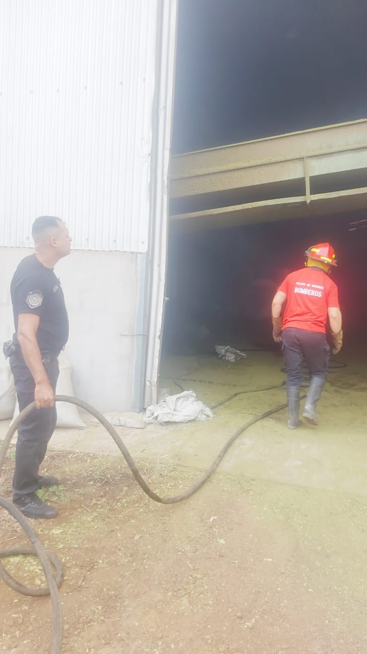 Incendio en un secadero de yerba mate en Apóstoles imagen-4